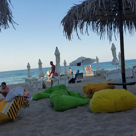 феличита Daire Byala (Varna)